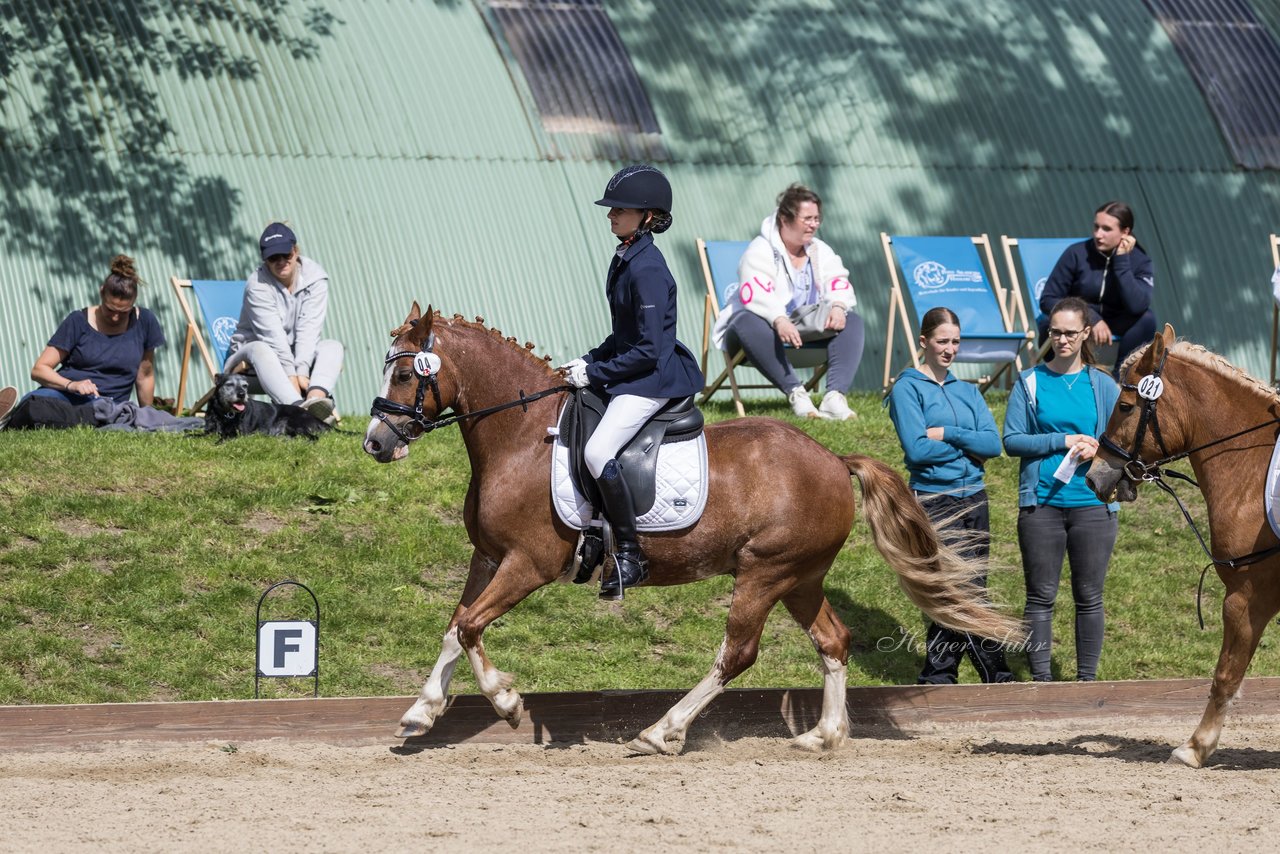 Bild 612 - Pony Akademie Turnier